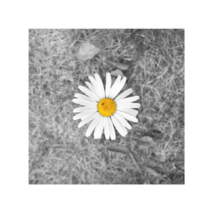 91♥️丨PORNY丨少妇
