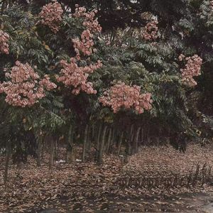 91♥️丨PORNY丨少妇
